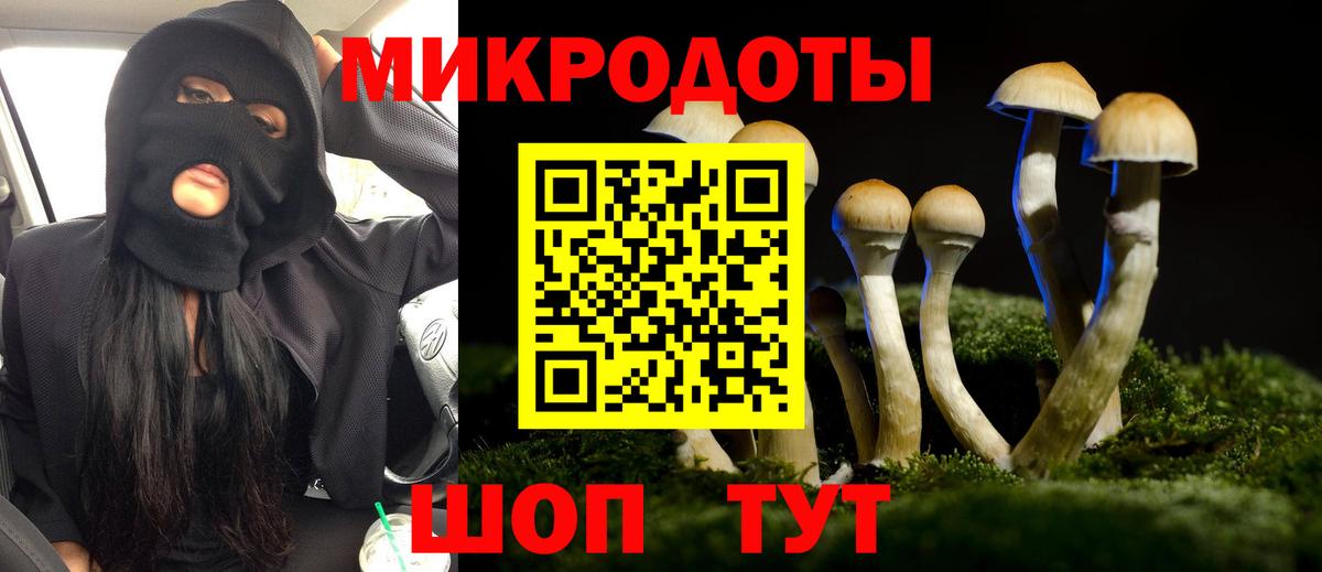Псилоцибиновые грибы GOLDEN TEACHER Сочи
